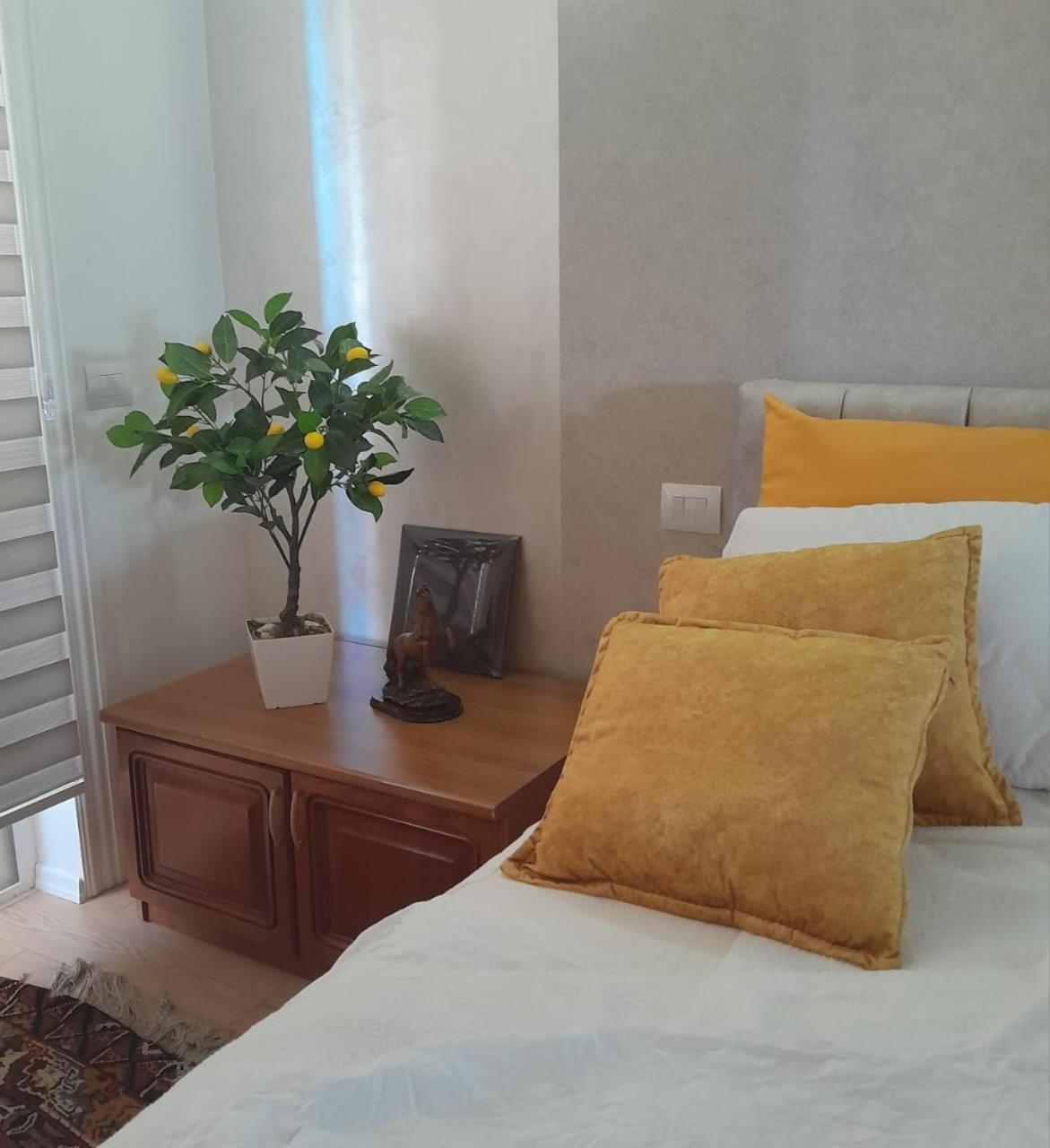 Bani'S Cozy Lovely Apt Тирана Экстерьер фото