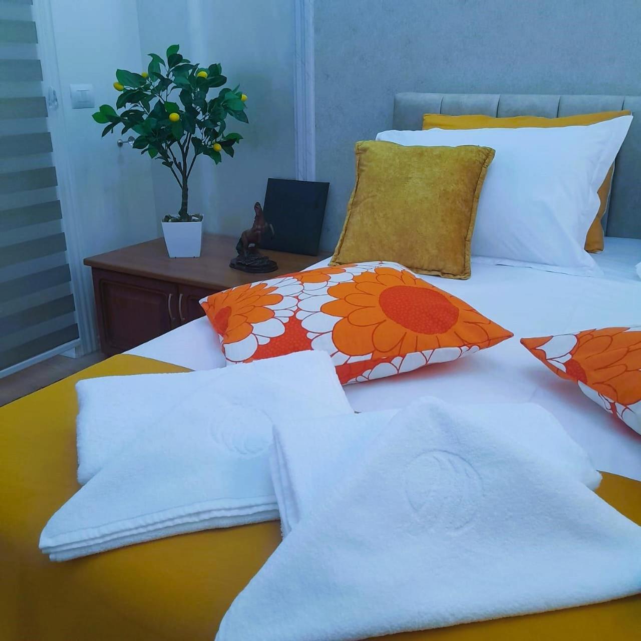 Bani'S Cozy Lovely Apt Тирана Экстерьер фото